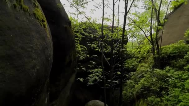 Καταπληκτικό Μονοπάτι Μέσα Από Βραχώδη Χαρακτηριστικό Στο Εθνικό Πάρκο Broumov — Αρχείο Βίντεο