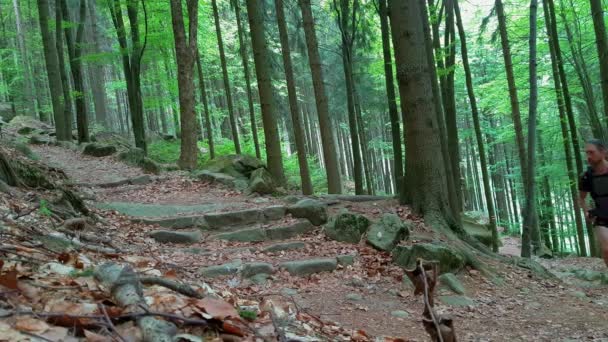 Wandelen Nationaal Park Broumov Het Voorjaar — Stockvideo