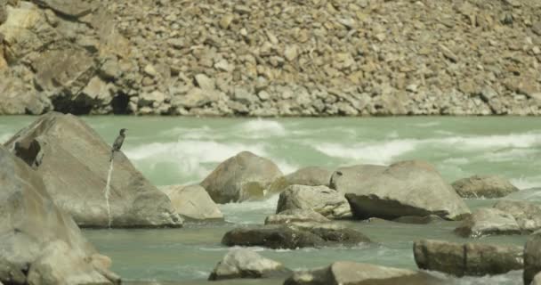 インドのガンジス川の急流をカヤックとラフティング — ストック動画