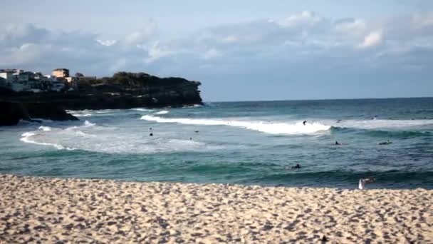 Utsikt Över Stranden Bronte Nsw Australien — Stockvideo