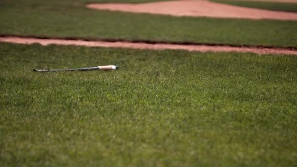 燃える太陽の熱の下で野球場で野球のバットが緑の芝生の上に横たわっている — ストック動画