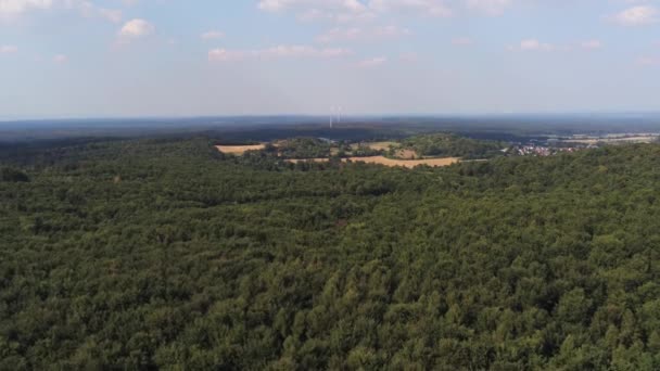 Riprese Aeree Una Foresta Che Mostra Turbine Eoliche — Video Stock