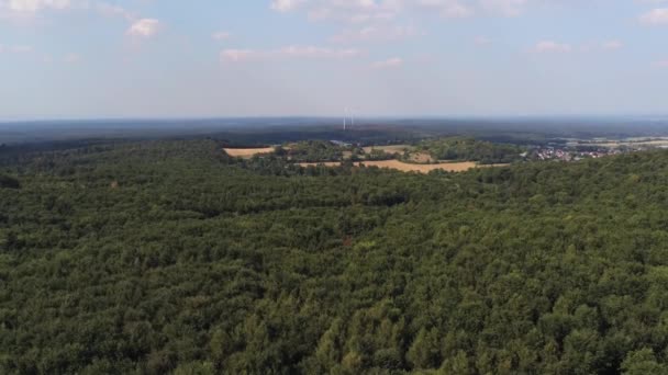 Imágenes Aéreas Bosque Mostrando Turbinas Eólicas — Vídeo de stock