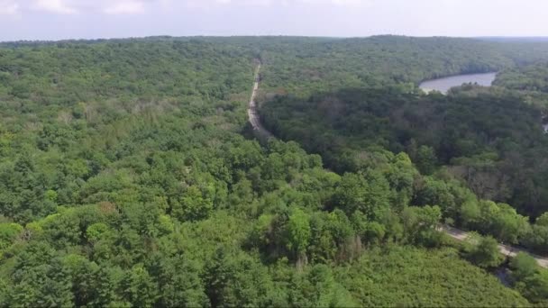 コネチカット州の空中森林のドリー 夏の半ばには背景に湖が見える 道路は森の中を巻き込んでいる 雲が影の中で地面を覆っている — ストック動画