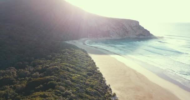Egy Gyönyörű Csapkodó Drónfelvétel Óceánról Találkozik Folyó Torkolatával Egy Elhagyatott — Stock videók