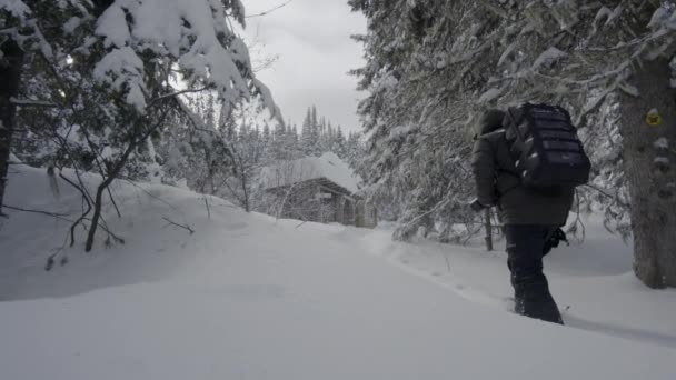 Φωτογράφος Περπατά Την Κάμερα Του Στο Δάσος Χιονοπέδιλα Τον Χειμώνα — Αρχείο Βίντεο