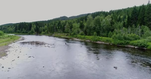 Widok Powietrza Norweską Rzekę Łososia — Wideo stockowe