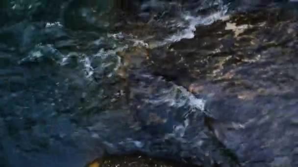 Krótki Klip Bieżącej Wody Rzecznej — Wideo stockowe