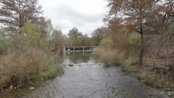 Krásná Řeka Tekoucí Mezi Stromy Divočinou Rajského Kaňonu Texas — Stock video