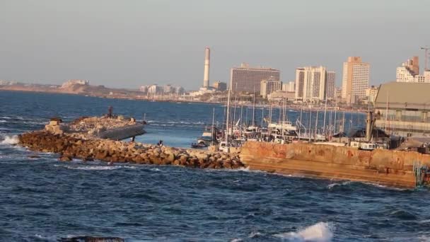 Jaffa Port Tel Aviv Israel — Stock Video