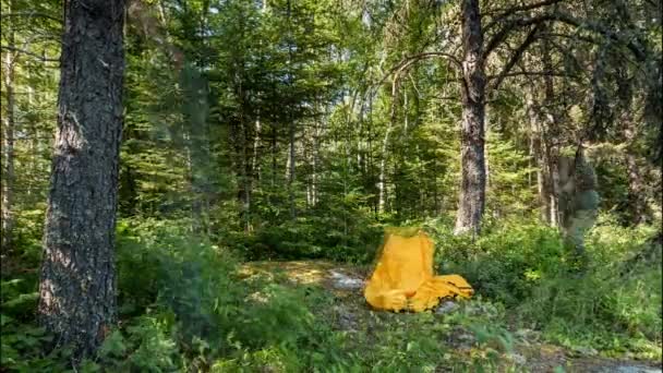 Timelapse Setting Campsite Sleeping Area Tarp Hammock Wilderness — Stock Video