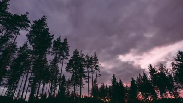 Timelapse Atardecer Color Pastel Con Árboles Primer Plano — Vídeo de stock