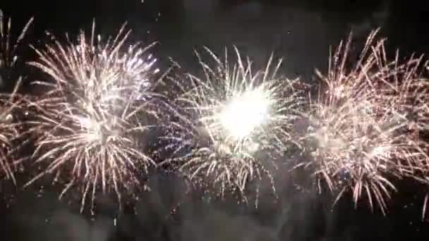 Espectáculo Fuegos Artificiales Una Playa — Vídeo de stock