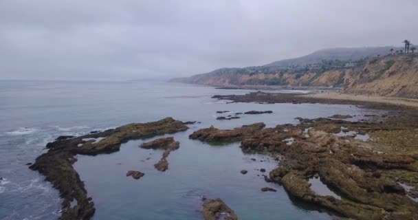 霧深い朝に神秘的な岩の海岸線をゆっくりと飛ぶ — ストック動画