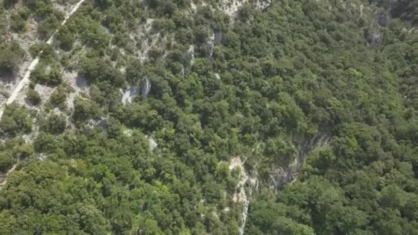 Schöne Baumwipfelwälder Und Feldwege Aus Der Luft — Stockvideo