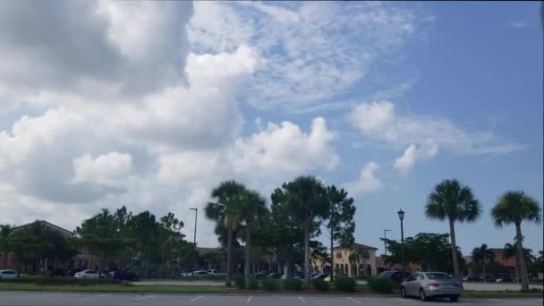 Hyperlapse Riesiger Weißer Wolken Die Über Ein Paar Palmen Auf — Stockvideo