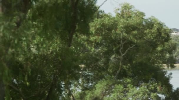 Drzewa Parki Jeziora Joondalup Australia Zachodnia — Wideo stockowe