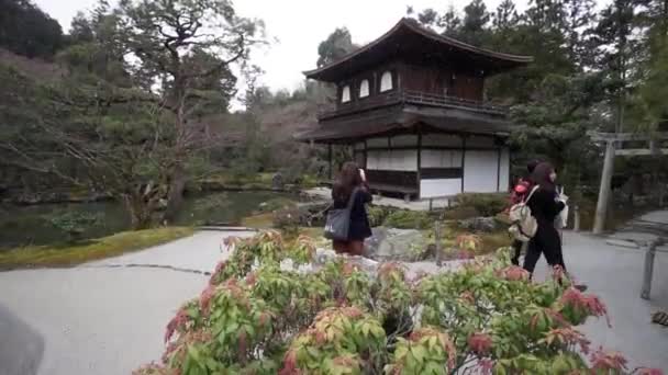 Les Touristes Prennent Des Photos Bâtiment Architecture Asiatique Ginaku Alors — Video