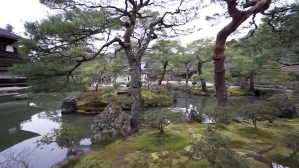 Snowing Small Zen Pond Building Inspired Asian Architecture Kyoto Ginkaku — Stock video