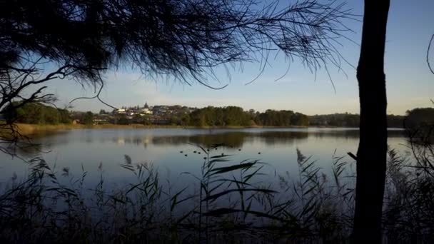 Pantanos Pantanosos Rizo Norte Atardecer — Vídeo de stock