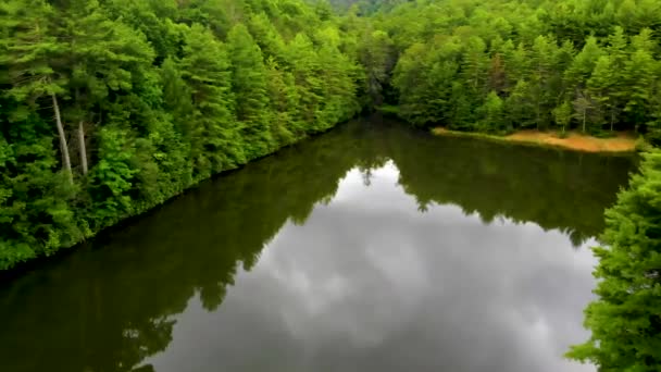 木々の美しい反射で静かな湖のドローンショット — ストック動画