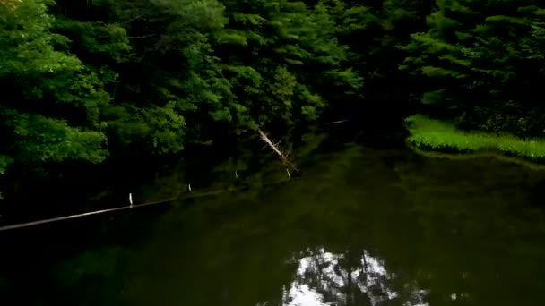 Una Bonita Cala Con Poco Madera Deriva Lago Una Hermosa — Vídeo de stock