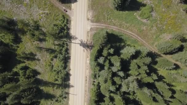 Letecký Pohled Dirt Road Stromy Obou Stranách Náklaďáky Senem — Stock video