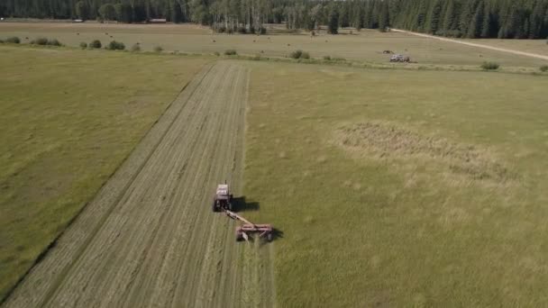 Letecký Pohled Malé Farmy Traktor Řezání Sena Pole Procházející Přes — Stock video