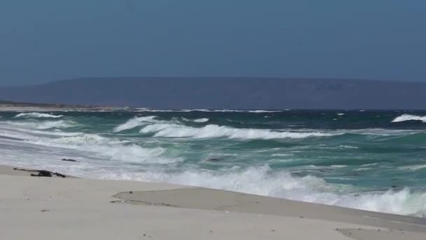 Dalgalar Atlantik Okyanusu Ndan Beyaz Plaja Doğru Akıyor Çekim Ağır — Stok video