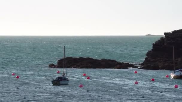 Avlägsna Förtöjda Förankrade Segelbåtar Som Flyter Lugn Naturlig Hamn Anglesey — Stockvideo