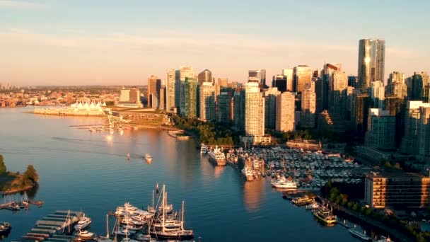 Vancouver Downtown Med Hamn Och Havsvatten — Stockvideo