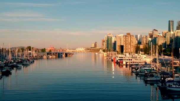 Vancouver Downtown Med Hamn Och Havsvatten — Stockvideo