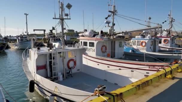 Filas Pequeñas Embarcaciones Pesca Atrasadas Muelle Hermoso Día Claro Flota — Vídeos de Stock