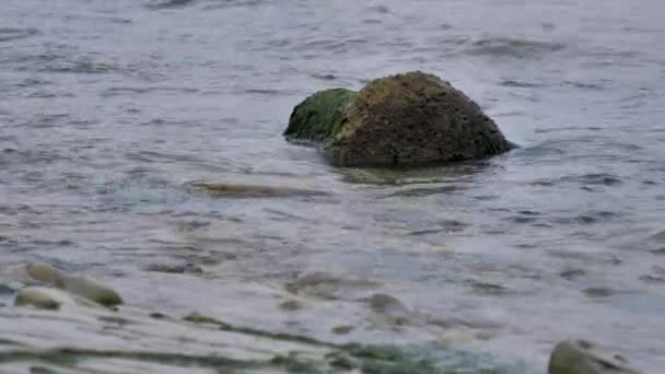 Una Costa Rocosa Con Agua Olas Concéntrate Una Pequeña Roca — Vídeo de stock