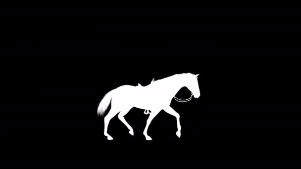 Stallion Horse Trot Animation Silhouette Lossless Png Alpha Channel — Stock Video