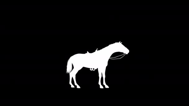 Stallion Horse Bite Animation Silueta Jako Bezztrátový Png Alpha Kanál — Stock video