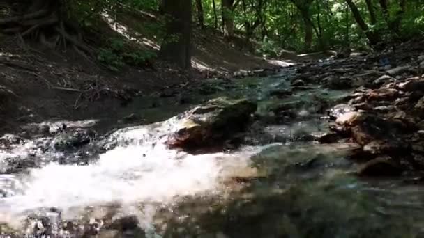 Gorący Letni Dzień Nad Rzeką — Wideo stockowe