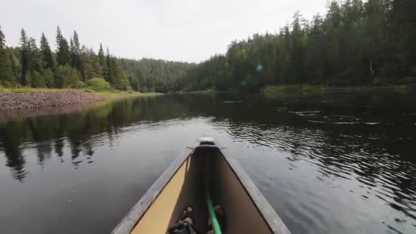 Finlandiya Nın Issız Sık Ormanlarında Sakin Bir Nehirde Yüzerken Kanonun — Stok video