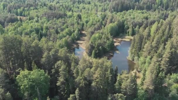 スウェーデンのダラルナに谷がある湖の回転するドローンビュー 丘や風景が広がっている明るい太陽の下で松の森が含まれています — ストック動画