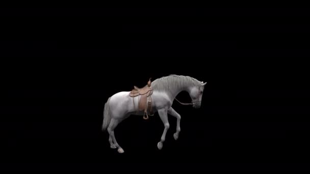 White Stallion Horse Rise Animation Alpha Channel — Stockvideo