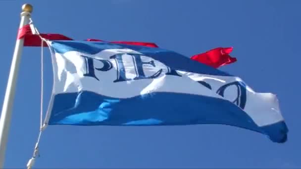 Flagge Von Pier San Francisco Kalifornien Vereinigte Staaten — Stockvideo