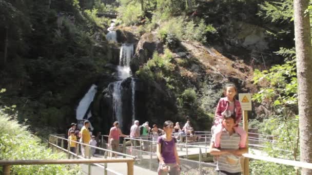 Wodospad Schwarzwaldzie Niemczech — Wideo stockowe