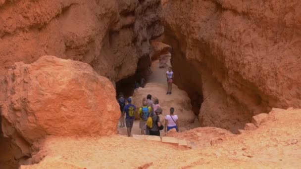 Titling Shot Showing Scale Zion Canyon Gorges — Stock Video