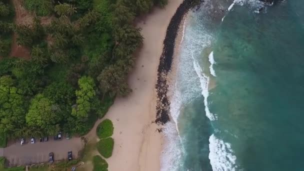 Stranden Och Klipporna Hawaii — Stockvideo