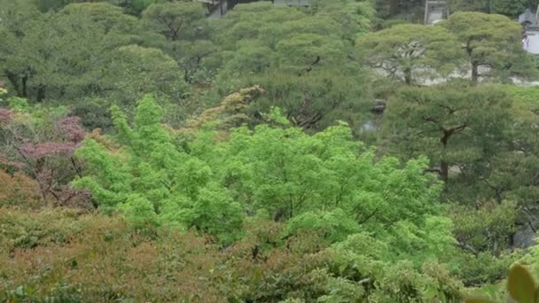 Vista Superior Paisaje Pabellón Plata Ginkaku Durante Día Lluvia Kyoto — Vídeo de stock