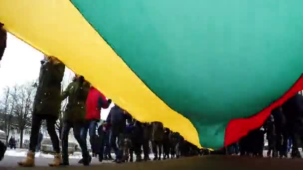 Nemzeti Litván Lobogó Megszelídítése — Stock videók