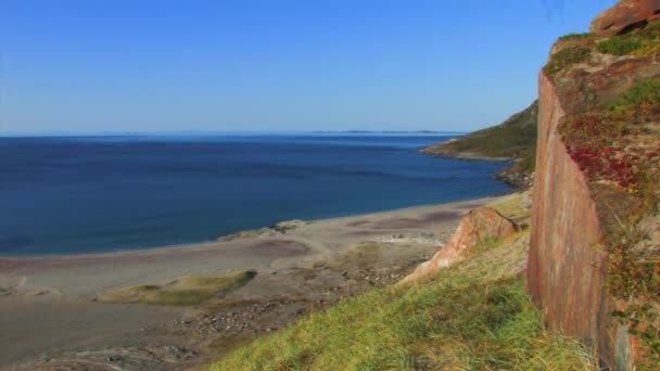 Vista Delle Scogliere Della Spiaggia Della Vegetazione Costiera Del Mare — Video Stock