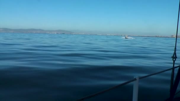 Yelkenli Güvertesinden Yolcularla Birlikte Geçen Lastik Ördek Motorlu Teknesine Bakın — Stok video