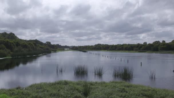 Wetlands Wildlife Egy Felhős Napon Perth Ausztrália — Stock videók