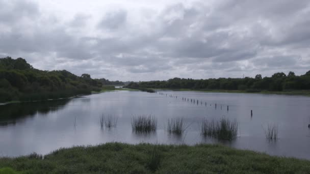 Wetlands Wildlife Een Bewolkte Dag Perth Australië — Stockvideo